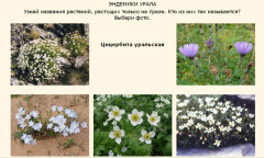 Эндемики Урала
