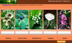 Ядовитые растения. Практика
