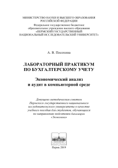Лабораторный практикум по бухгалтерскому учету. Экономический анализ и аудит в компьютерной среде
