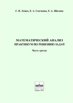 Математический анализ. Практикум по решению задач